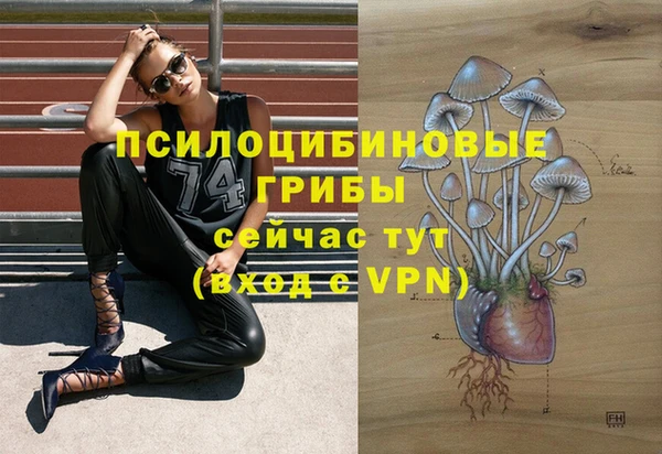 герыч Аркадак