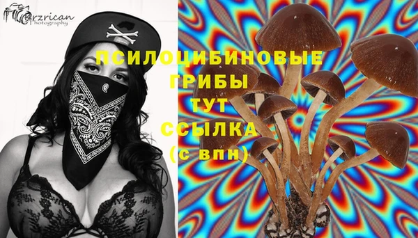 круглые Арсеньев